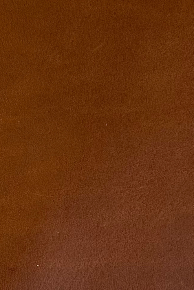 Butterscotch