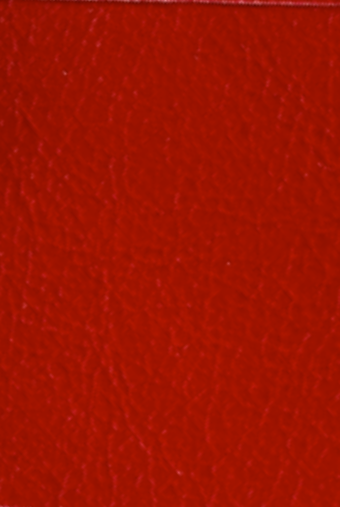 Scarlet Red