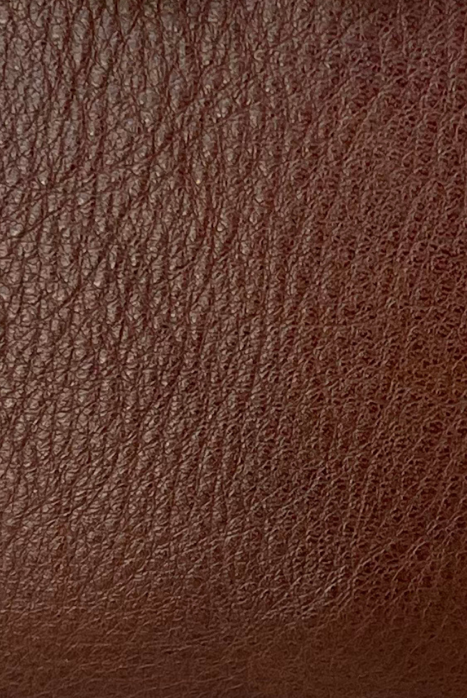 Saddle Brown