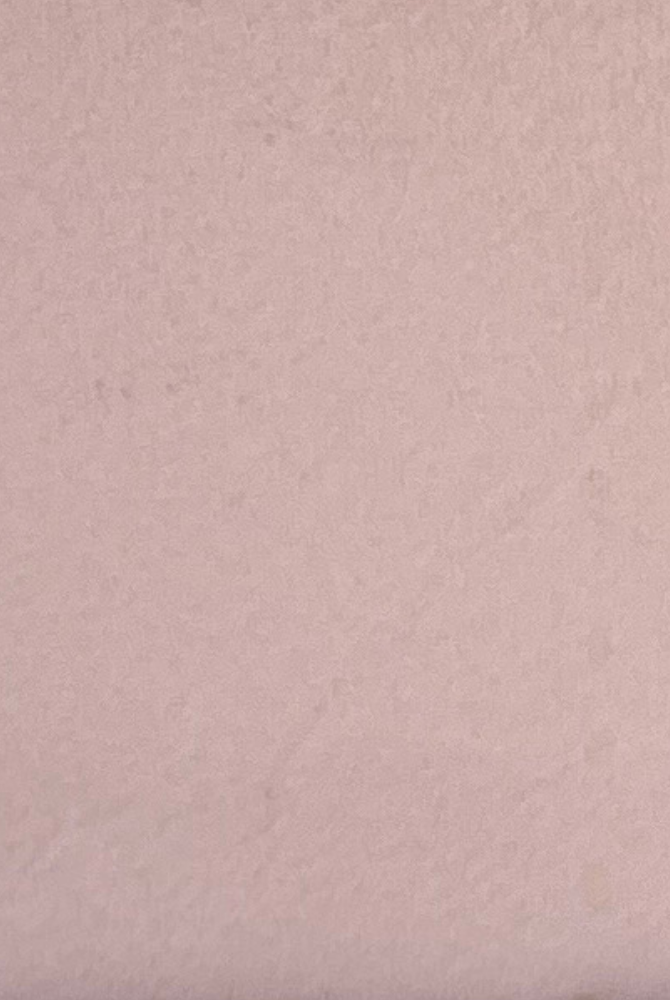 Ballet Pink