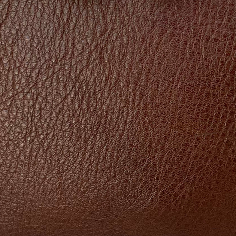 Saddle Brown
